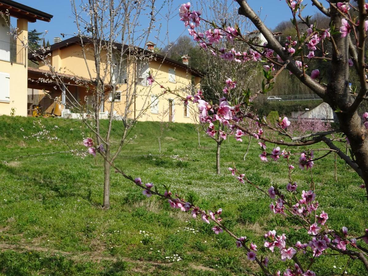 Cascina Legnago Bilocale A 6 Chilometri Da Salo' Apartment Villanuova sul clisi ภายนอก รูปภาพ
